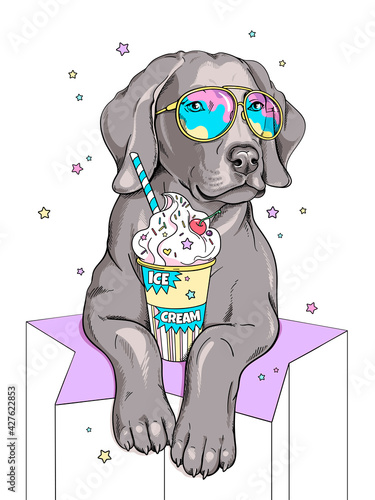 Cute weimaraner dog with ice cream. Bright summer composition for printing on any surface