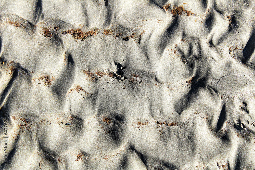 Textures with waves on the beach sand under the sun