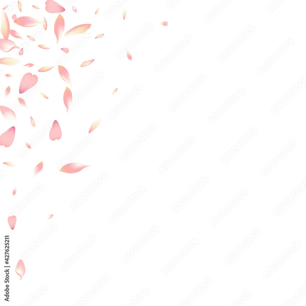 Pink Lotus Petal Vector White Background. White