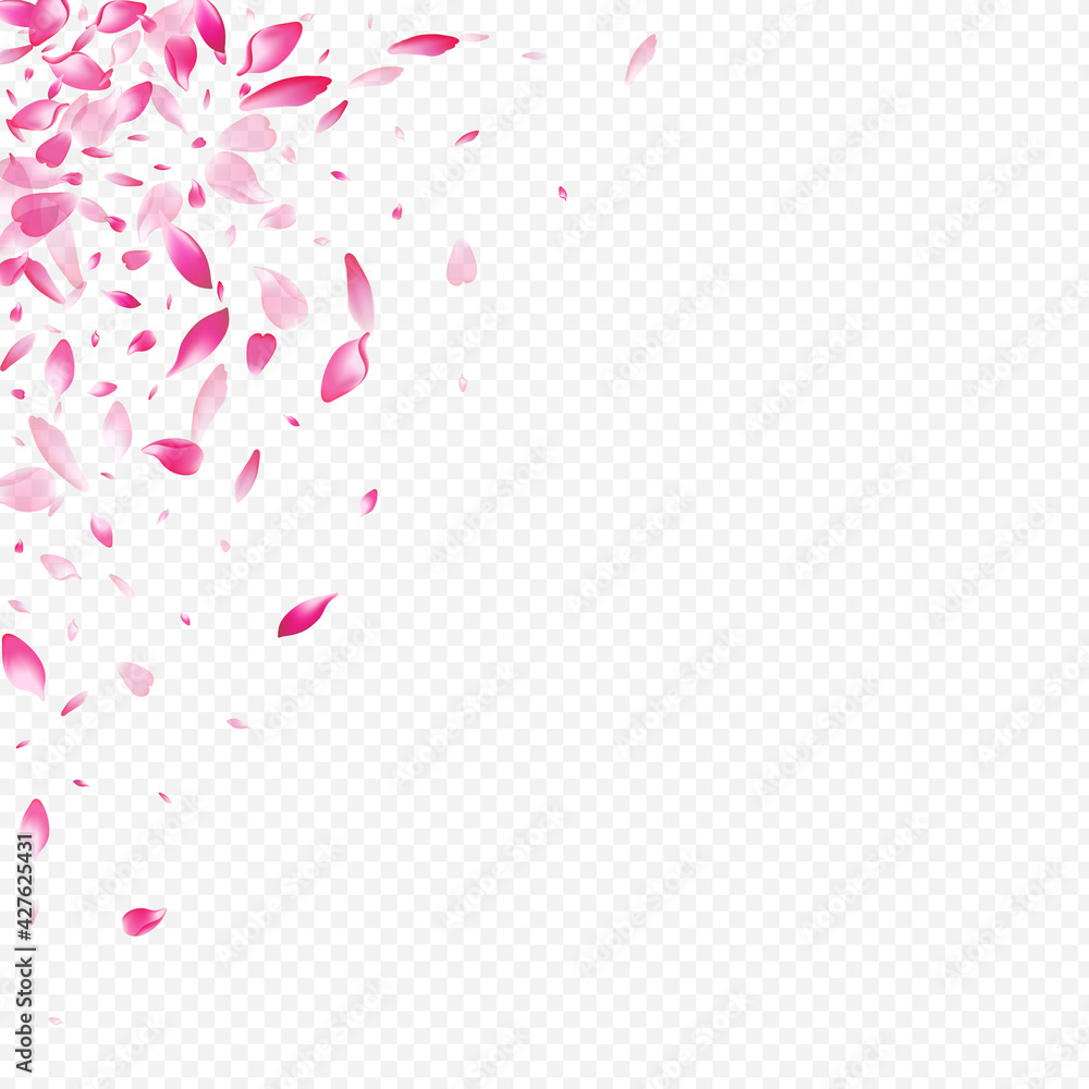 Light Sakura Vector Transparent Background.