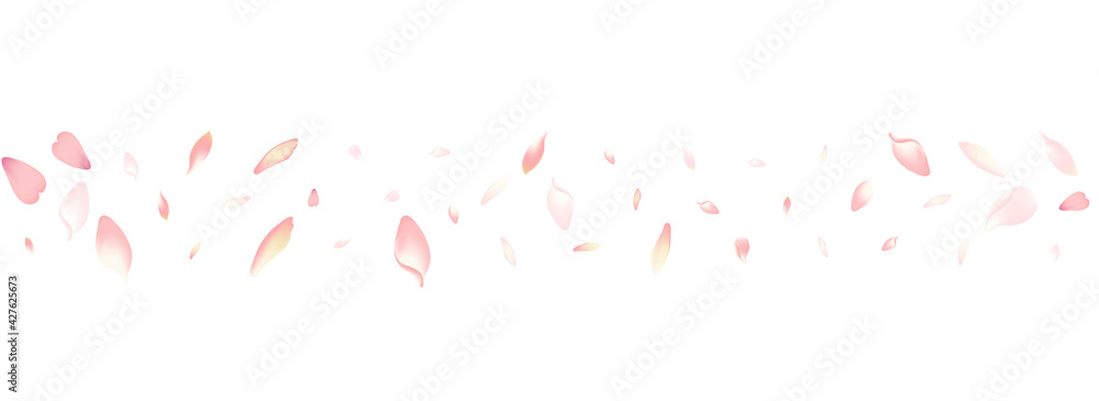 Color Apple Petal Vector White Background. White