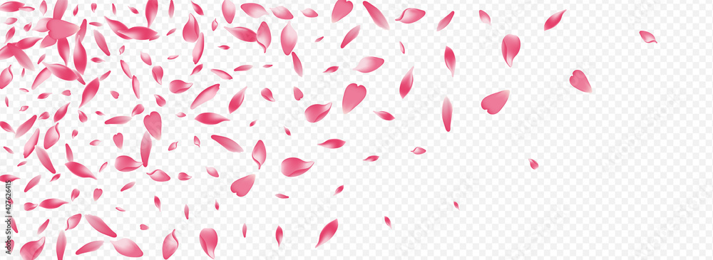 White Blooming Vector Panoramic Transparent