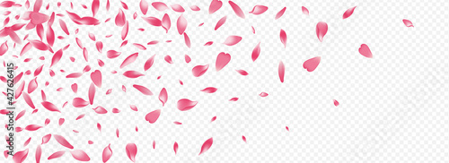 White Blooming Vector Panoramic Transparent