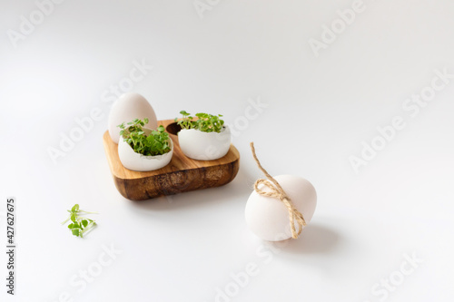 Green sprouts in white egg in wooden egg box on white background. Selective focus, copy space. Eco concept. Life Easter minimal concept.