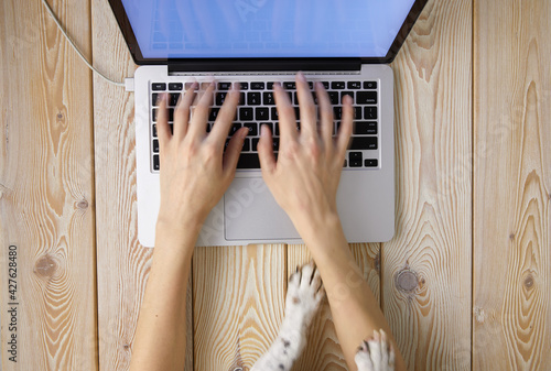 Image of woman’s hands typing fast on laptop keyboard with dog’s paws on same tabletop. View from above. Remote work from home concept image.