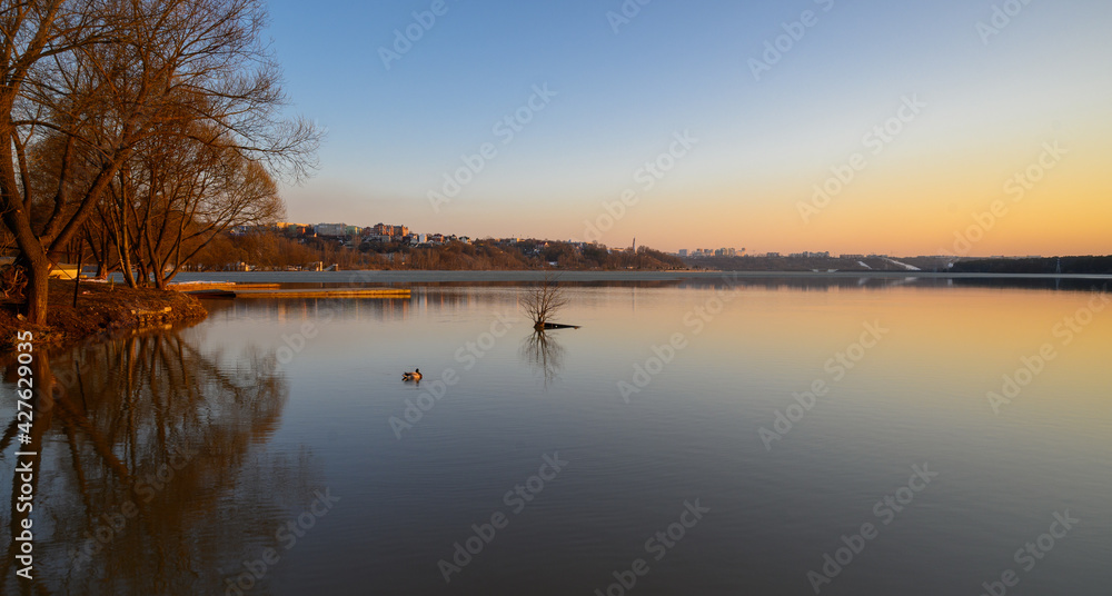 Cityscape at golden sunset with buildings reflecting in the lake. A duck is next to a bush sticking out the water. Early spring season and remainings of semi-melted ice.