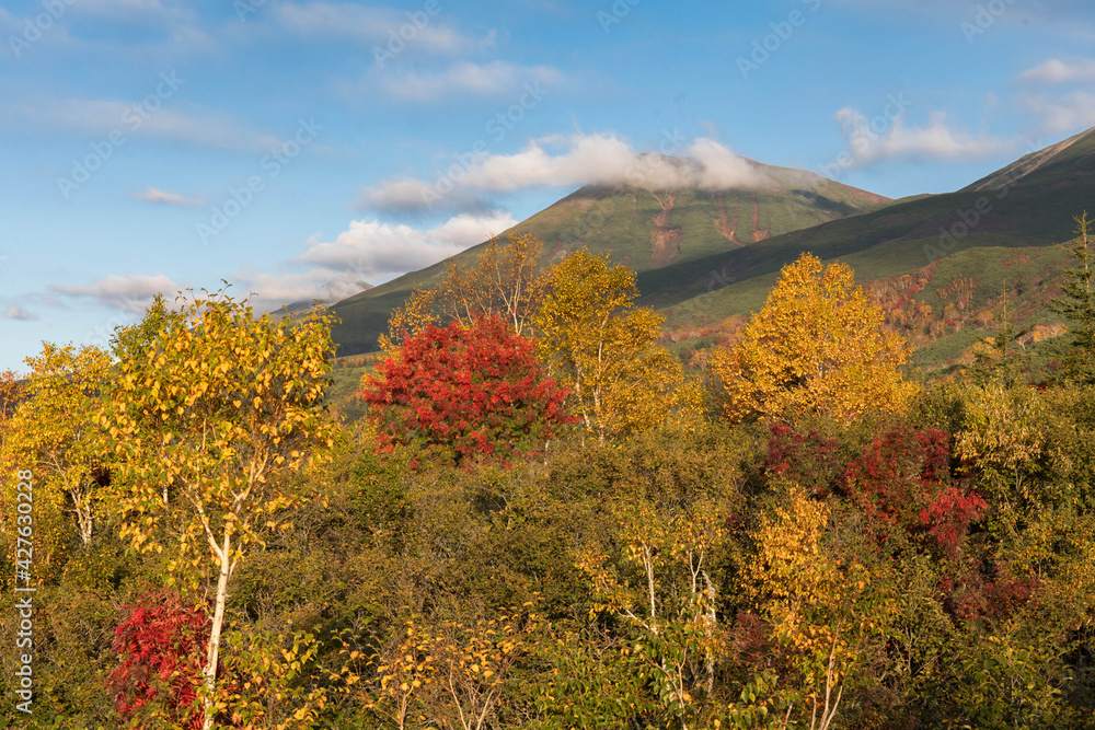 十勝岳連峰の紅葉 十勝岳連峰の紅葉