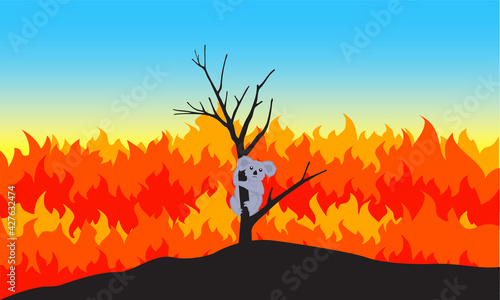 koala climbs a tree caught in a forest fire. graphic design illustration.