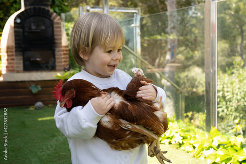 Little boy is holding the hen in the garden at home