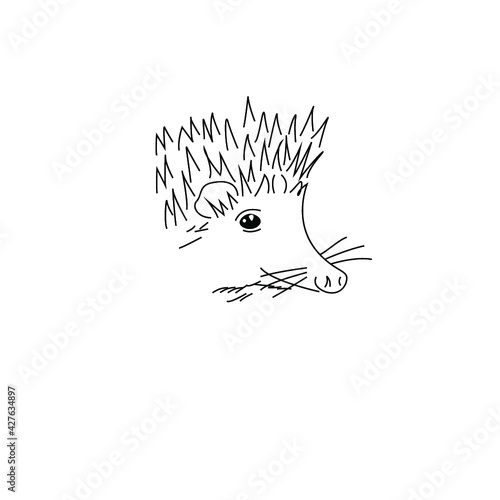 Hedgehog sketch drawing isolated on a white background