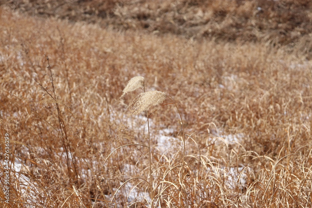Fototapeta premium 겨울 산의 공기