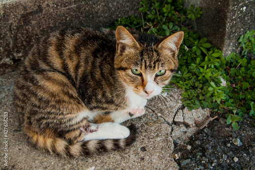 ainoshima#1 photo