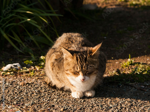 ainoshima#5 photo