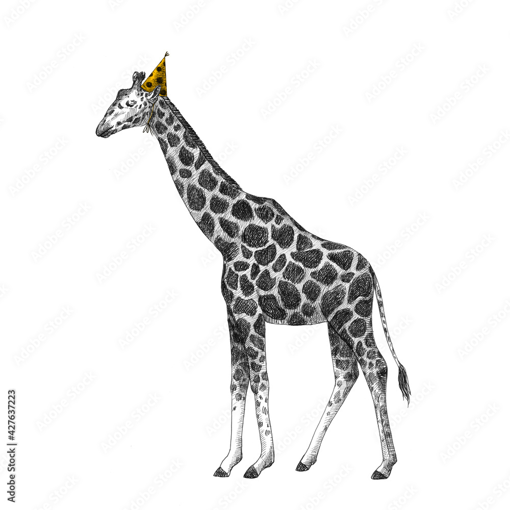 Naklejka premium Beautiful stock illustration with cute hand drawn birthday giraffe on the party.