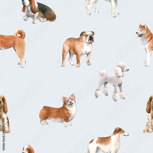Beautiful seamless pattern with cute watercolor hand drawn dog breeds Cocker spaniel Greyhound Basset hound Poodle Bulldog and Welsh corgi pembroke . Stock illustration.
