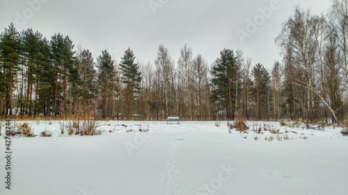 Obraz na płótnie Winter landscape with snow w salonie