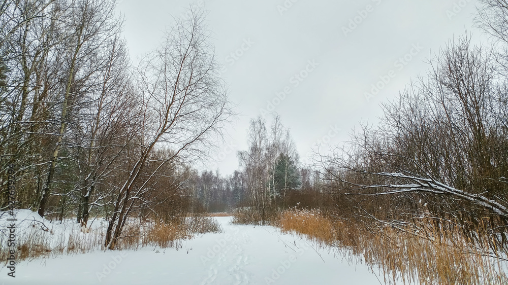 Lake in winter time