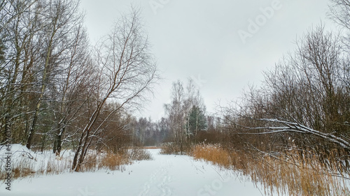 Obraz na płótnie Lake in winter time w salonie