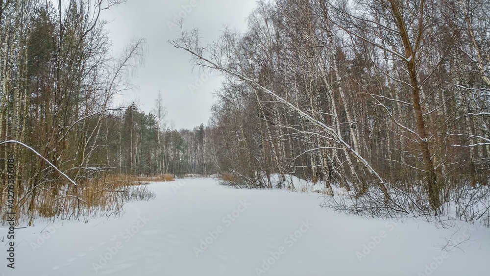 Lake in winter time