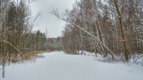 Obraz na płótnie Lake in winter time w salonie