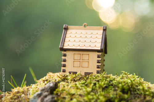 Wooden house model in a forest Eco house concept