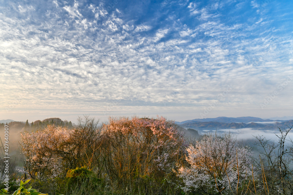 朝日に包まれた北アルプスと青空