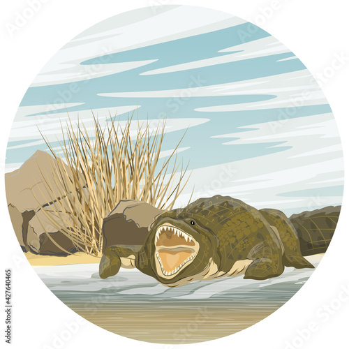 Round composition. Nile crocodile Crocodylus niloticus stands with open mouth near the river. Realistic vector landscape