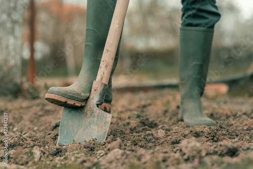 Farmer in rubber boots using spade gardening equipment in garden photo
