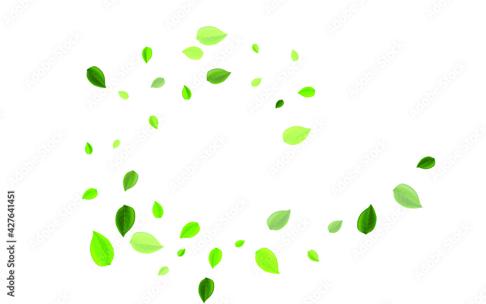 Lime Greens Falling Vector Template. Tea Leaf Poster. Green Foliage Realistic Backdrop. Leaves Blur Concept. Lime Greens Falling Vector Template. Tea Leaf Poster. Green Foliage Realistic Backdrop. Leaves Blur Concept.