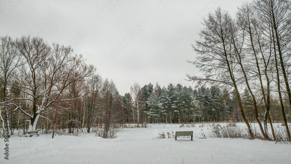 Bench on the shore of a frozen lake