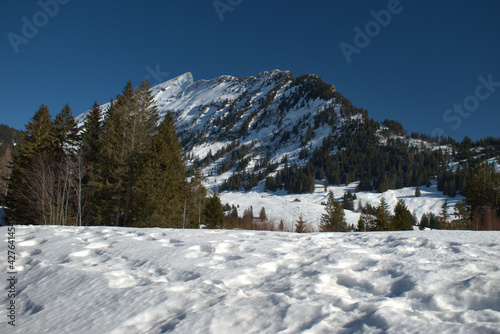 Majestic winter panorama in Amden in Switzerland 21.2.2021 © Robert