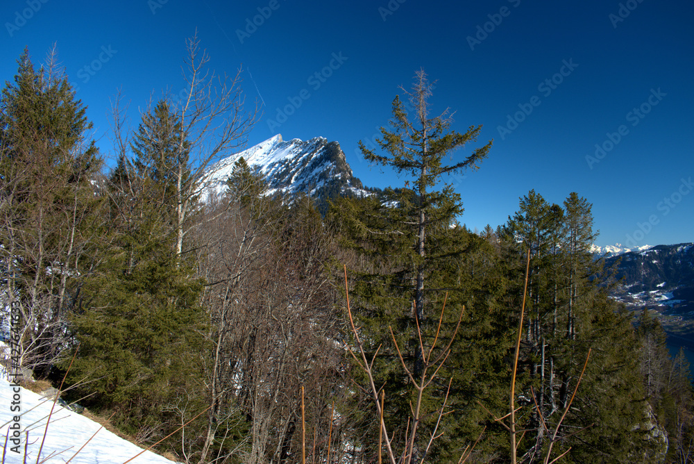 Alpine scenery in Amden in Switzerland 21.2.2021 Alpine scenery in Amden in Switzerland 21.2.2021