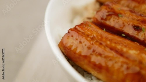 Eel rice bowl with marinated eel on rice