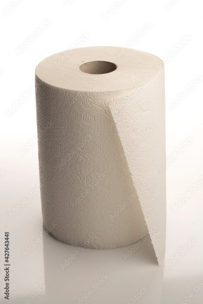 Kitchen roll isolated on white. Kitchen roll isolated on white.