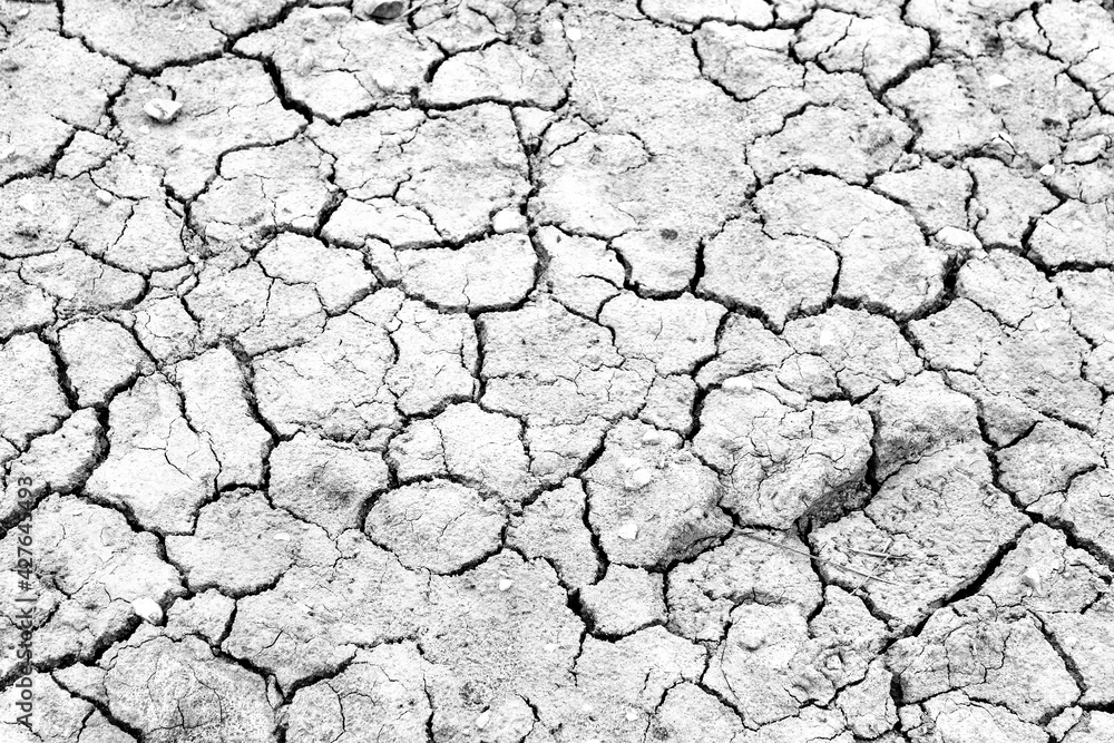 Texture of arid and desert land Texture of arid and desert land