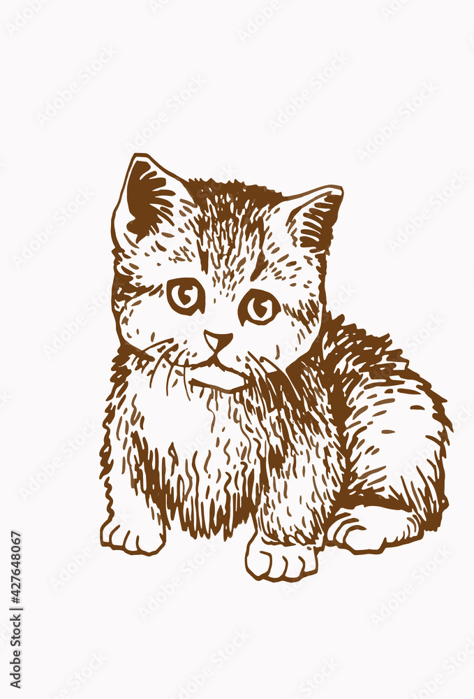 Sepia vector illustration of small kitten, pet