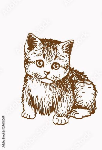 Sepia vector illustration of small kitten, pet