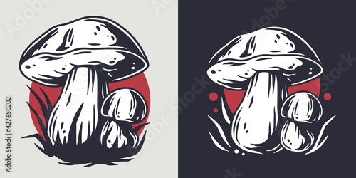 Mushroom picking of porcini, king bolete. Cep mushrooms. Vegetarian fungus boletus for food. Nature fungi for healthy nutrition