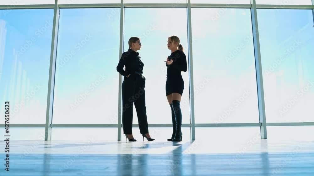 Women colleagues standing in office. Cute beautiful businesswoman indoors in office Women colleagues standing in office. Cute beautiful businesswoman indoors in office