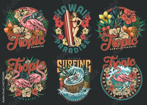 Colorful vintage surfing prints