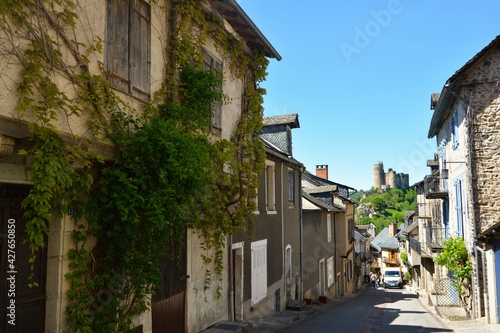 The narrow and picturesque alleys of Najac. Old stone houses decorated with flowers. South France.  © kalinaivanova