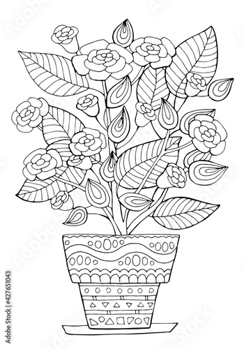 Hand drawn coloring page for kids and adults. Potted plant, roses. Beautiful drawing with patterns and small details. Coloring book pictures. Vector