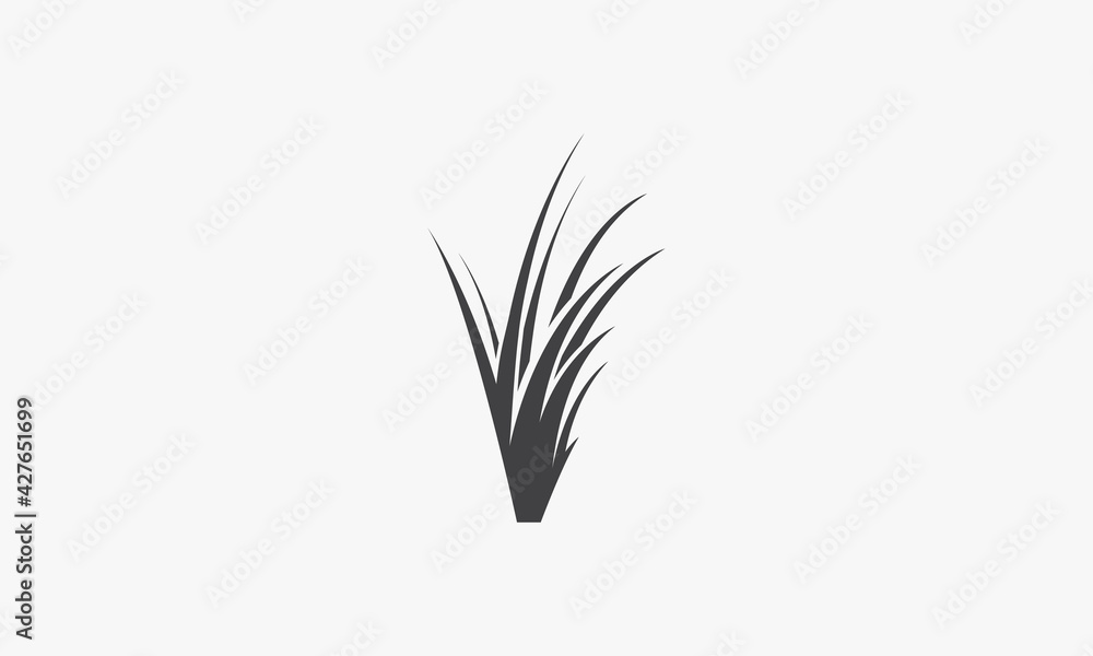 Fototapeta premium grass vector illustration on white background. creative icon.