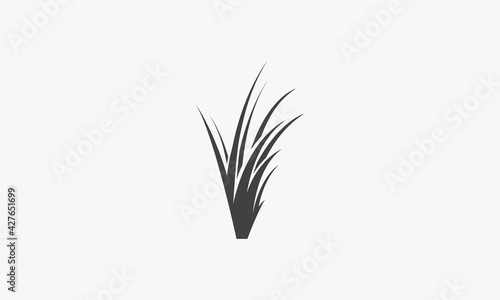 grass vector illustration on white background. creative icon.