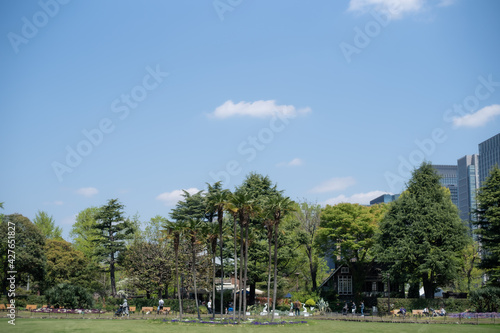 青空の公園 © MACRIA