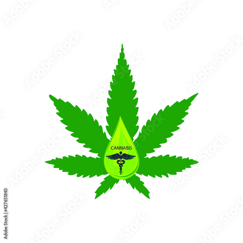 cannabis leaf illustration