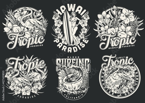 Hawaii surfing vintage monochrome badges