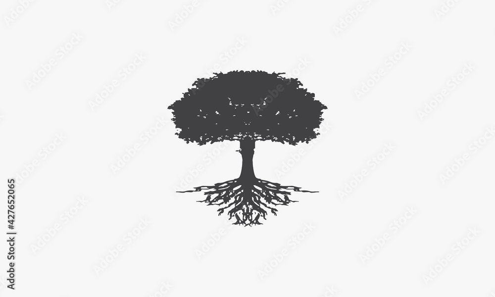 Fototapeta tree vector illustration on white background. creative icon.