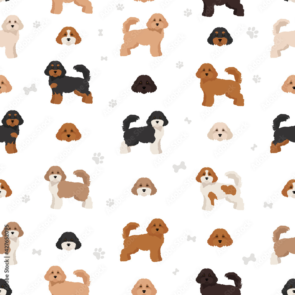 Cavapoo mix breed seamless pattern. Different poses, coat colors set.  vector de Stock | Adobe Stock