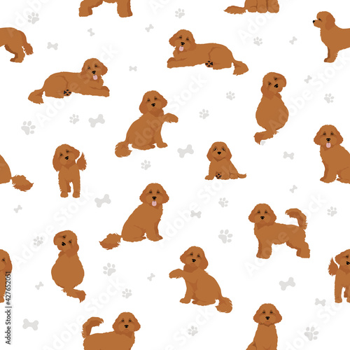 Cavapoo mix breed seamless pattern. Different poses, coat colors set.